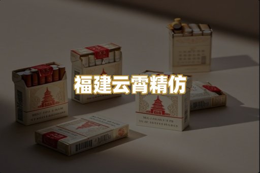福建云霄精仿